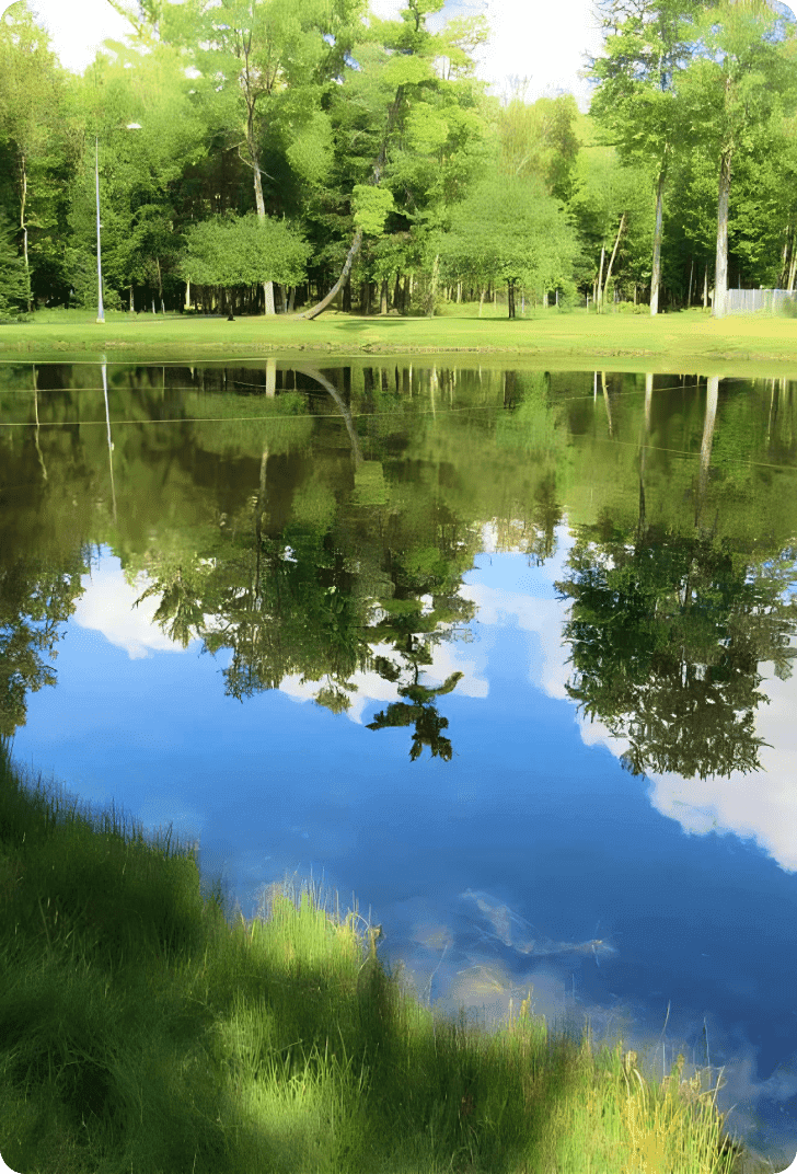 pond at vanargand lodge